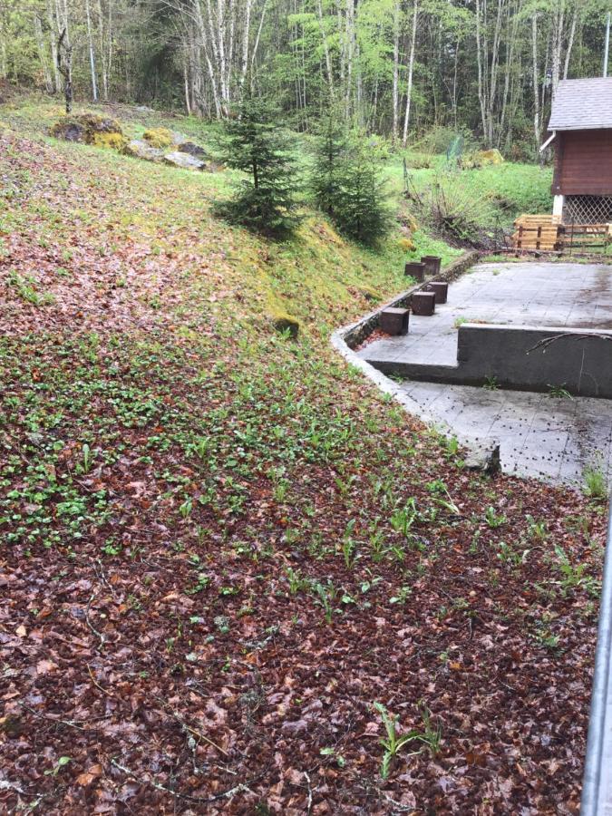 Le Refuge Apparts Et 1Chalets A Samoens 74 外观 照片